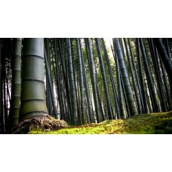 Badekarshylde Bambus