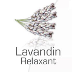 Camylle Spaduft Lavendel 250 ml. - afslappende